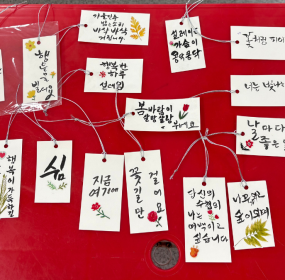 &nbsp;&nbsp; &nbsp;일시 : 2026. 7. 08.(수)&nbsp; &nbsp;장소 : 감천문화마을 자원봉사캠프​&nbsp; &nbsp;사하구자원봉사센터에서는 신중년 캘리그래피 전문봉사단 『글빛 나눔』을 양성하고자 감천문화마을 자원봉사캠프에서 지역 주민 및 자원봉사자를 대상&nbsp; &nbsp;으로 매주 수요일 캘리그래피 교육이 이루어지고 있습니다.&nbsp;&nbsp; &nbsp;이번 시간에는 책갈피를 만들어보았습니다.&nbsp; &nbsp;이번 교육 과정이 신중년 세대의 사회적 고립감을 해소하고 자신감을 회복시키는 계기가 될 수 있으면 좋겠습니다.&nbsp;&nbsp;